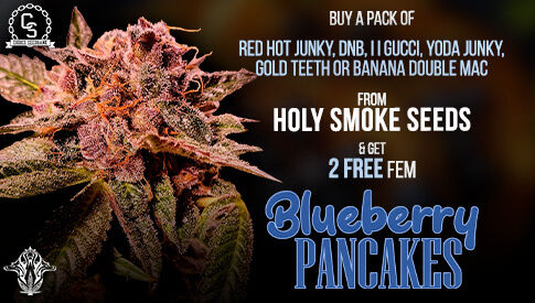 Holy Smoke Blueberry Pancakes