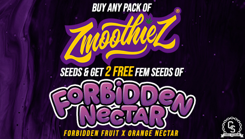 Zmoothiez Forbidden Nectar