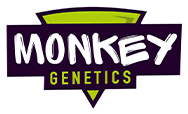 Monkey Genetics