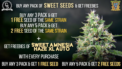 The Choice Seedbank - Buy Cannabis Seeds Online | Best Marijuana Seeds UK