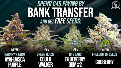 The Choice Seedbank - Buy Cannabis Seeds Online | Best Marijuana Seeds UK