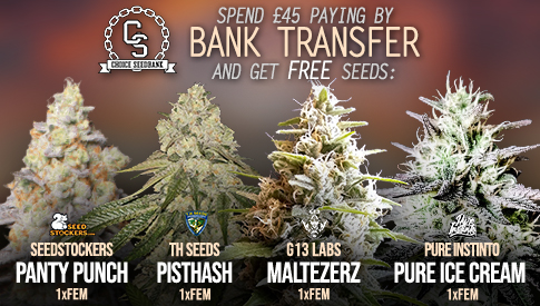 The Choice Seedbank - Buy Cannabis Seeds Online | Best Marijuana Seeds UK