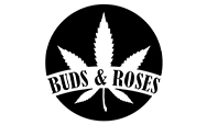 Buds and Roses Seeds