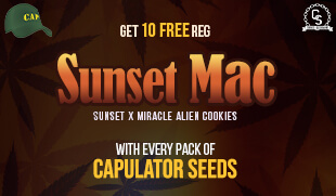 Capulator - Sunset MAC