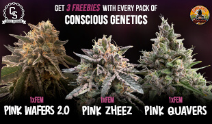 Conscious Genetics 3 freebies