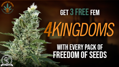 Freedom of Seeds - 4 Kingdoms