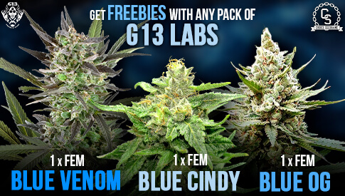 G13 labs Freebies