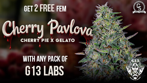 G13 Cherry Pavlova