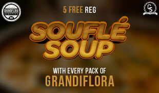 Grandiflora Soufle Soup