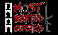 Most Wanted Genetics