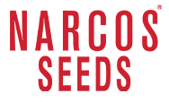 Narcos Seeds