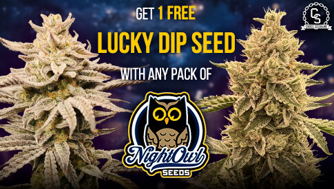 Night Owl Lucky Dip