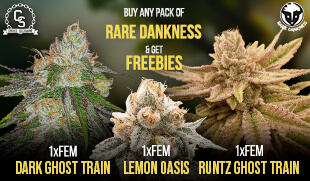 Rare Dankness Freebies