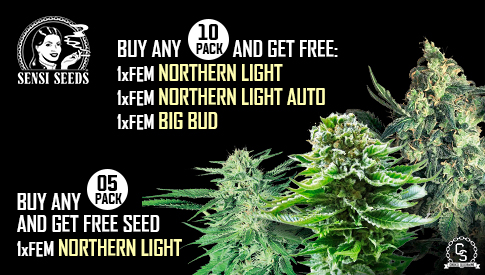 The Choice Seedbank - Buy Cannabis Seeds Online | Best Marijuana Seeds UK