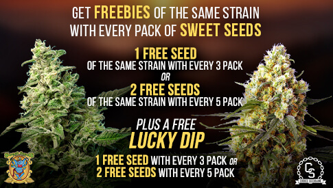 Sweet Seeds Freebies same strain & Lucky Dip