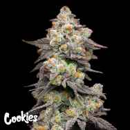 Cookies Seeds Acai Grapes