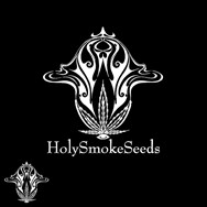 Holy Smoke Seeds Blueberry Cane