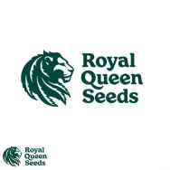 Royal Queen Seeds Lucky Dip