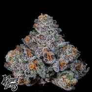 Wizard Trees Genetics Big Ben