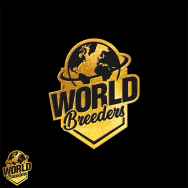 World Breeders Seeds Elixir