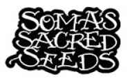 Soma Seeds