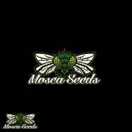 Mosca Seeds Cherry Chem