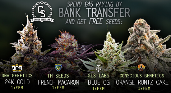 Bank Transfer Payment Promotion at The Choice Seed Bank