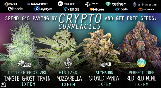 Crypto Currency Payment Promotion at The Choice Seed Bank