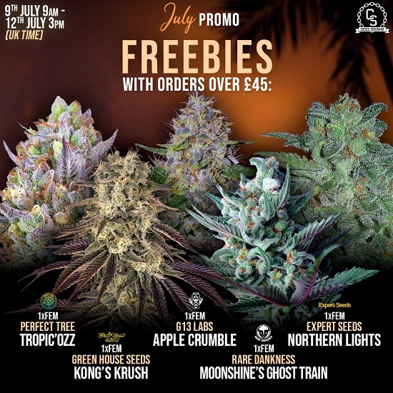 The Choice Seedbank Newsletter - July promos and offers!